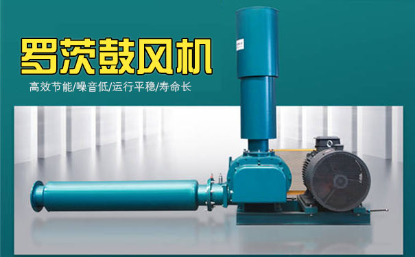 污水曝氣羅茨風(fēng)機(jī) 污水曝氣羅茨風(fēng)機(jī)