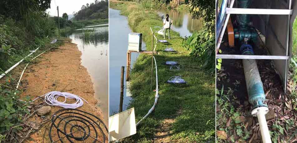 水產養殖羅茨增氧機(羅茨風機) 水產養殖羅茨增氧機(羅茨風機)